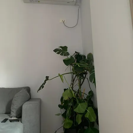 Ferit's Near Myslym Shyri Apartamento