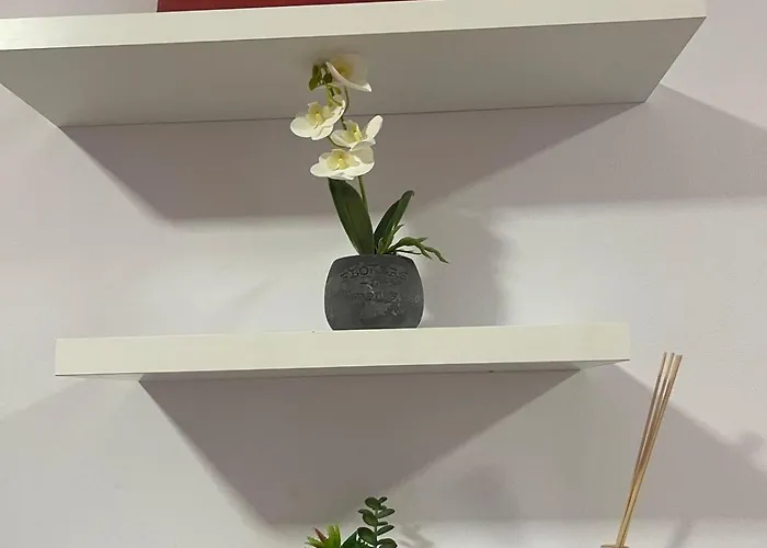 Ferit's Near Myslym Shyri Tirana