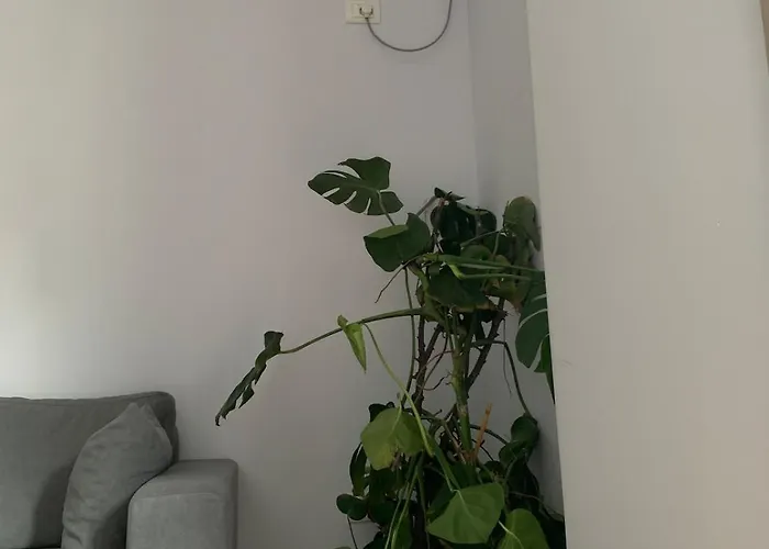 Ferit's Near Myslym Shyri Apartamento